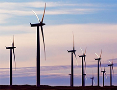 <b>一個公司的人力成本賬：東莞引進自動化生產線</b>